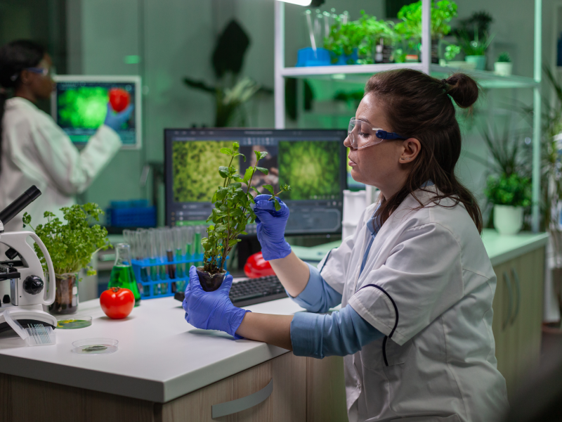 biotecnología y la agricultura inteligente